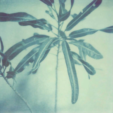 Color Shade VIII Black Ornate Wood Framed Art Print with Double Matting by Johnson, Jason