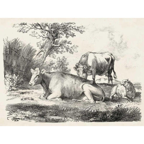 Rural Charms IV Black Modern Wood Framed Art Print by Unknown