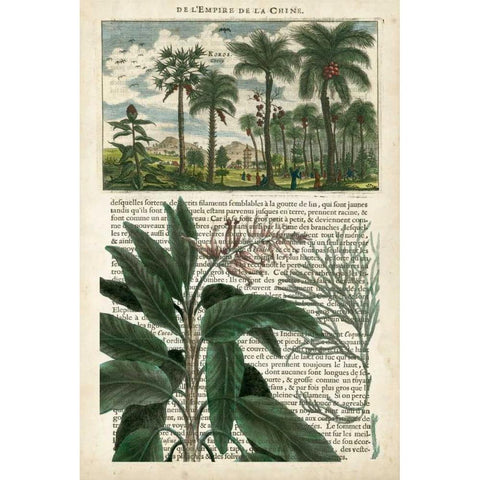 Journal of the Tropics I Black Modern Wood Framed Art Print with Double Matting by Vision Studio