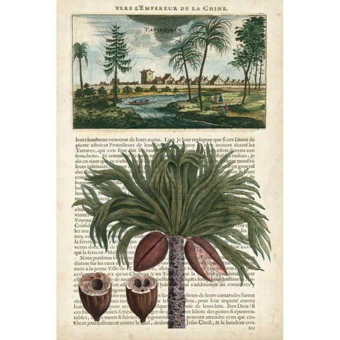 Journal of the Tropics IV Gold Ornate Wood Framed Art Print with Double Matting by Vision Studio