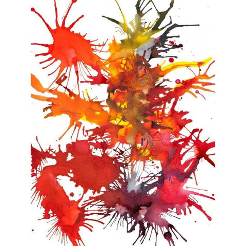 Fireworks Display I Black Modern Wood Framed Art Print with Double Matting by Fuchs, Jodi