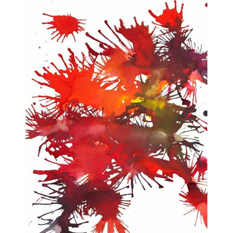 Fireworks Display II Black Modern Wood Framed Art Print with Double Matting by Fuchs, Jodi