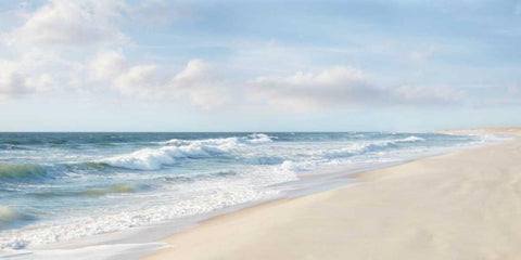 Hamptons II Black Ornate Wood Framed Art Print with Double Matting by McLoughlin, James