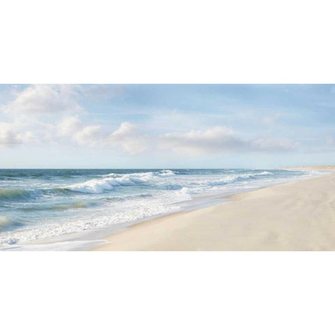 Hamptons II Black Modern Wood Framed Art Print by McLoughlin, James