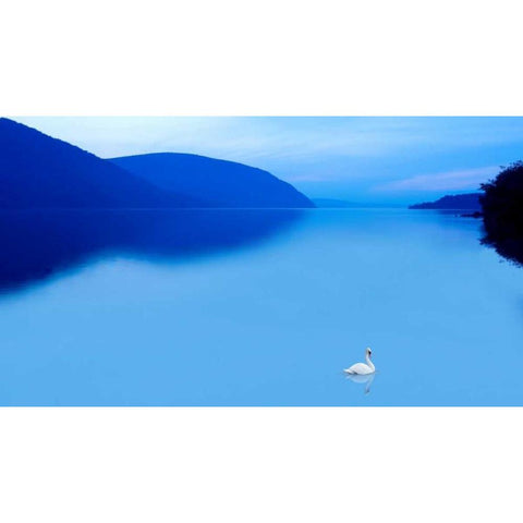 Scene on the Water IV White Modern Wood Framed Art Print by McLoughlin, James