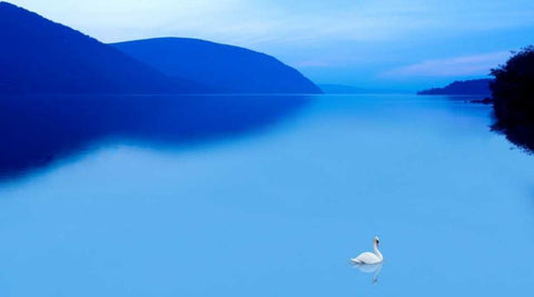 Scene on the Water IV White Modern Wood Framed Art Print with Double Matting by McLoughlin, James