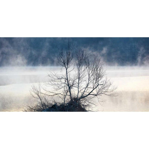 Scene on the Water VII Black Modern Wood Framed Art Print with Double Matting by McLoughlin, James