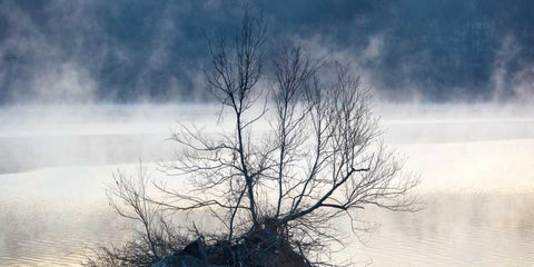 Scene on the Water VII Black Ornate Wood Framed Art Print with Double Matting by McLoughlin, James