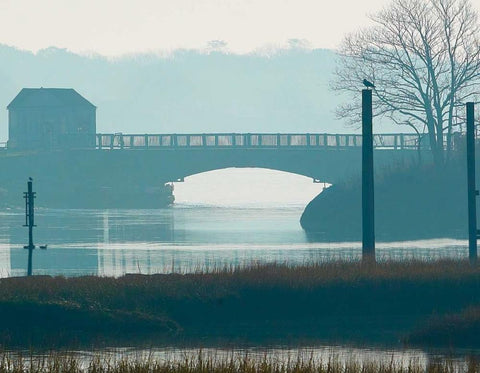 Scene on the Water IX Black Ornate Wood Framed Art Print with Double Matting by McLoughlin, James