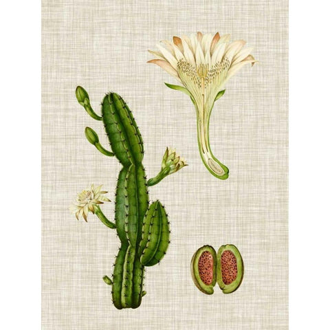 Elegant Tropicals III White Modern Wood Framed Art Print by Vision Studio