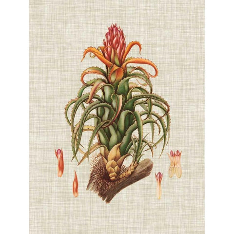 Elegant Tropicals IV Gold Ornate Wood Framed Art Print with Double Matting by Vision Studio