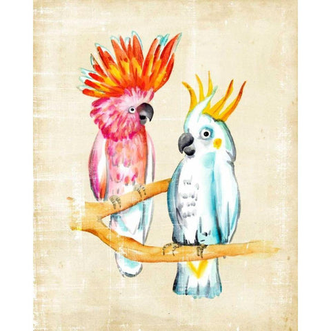 Fanciful Birds IV White Modern Wood Framed Art Print by Zarris, Chariklia