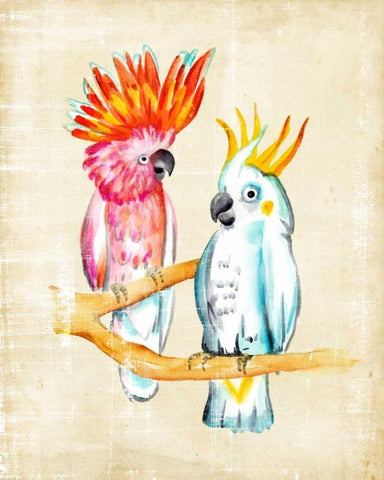 Fanciful Birds IV White Modern Wood Framed Art Print with Double Matting by Zarris, Chariklia