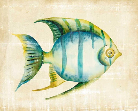 Aquarium Fish I White Modern Wood Framed Art Print with Double Matting by Zarris, Chariklia