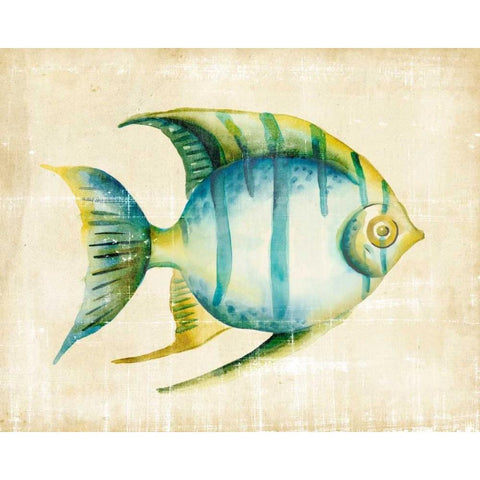 Aquarium Fish I White Modern Wood Framed Art Print by Zarris, Chariklia