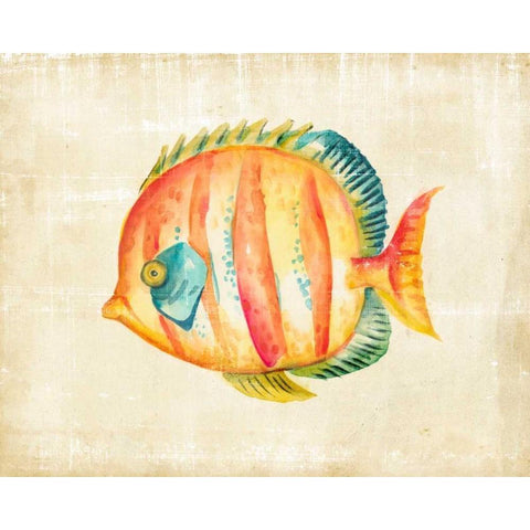 Aquarium Fish II White Modern Wood Framed Art Print by Zarris, Chariklia