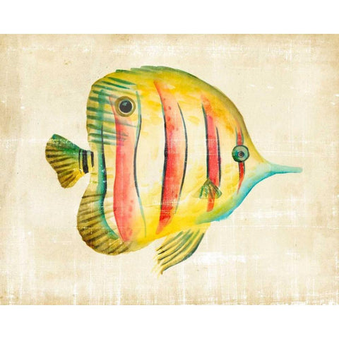 Aquarium Fish III White Modern Wood Framed Art Print by Zarris, Chariklia