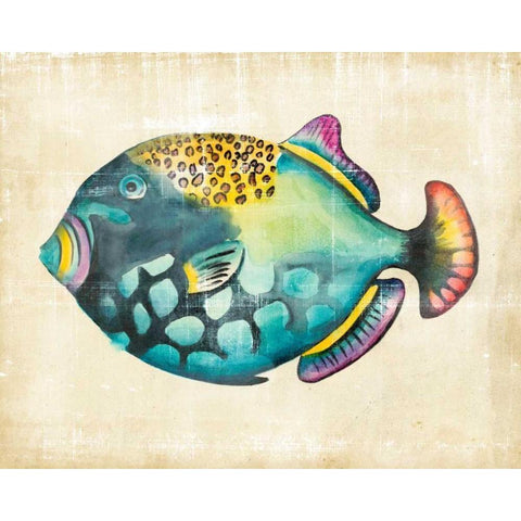 Aquarium Fish IV White Modern Wood Framed Art Print by Zarris, Chariklia