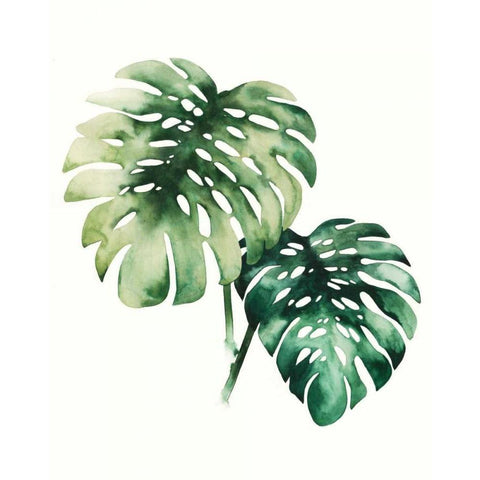 Tropical Plant II White Modern Wood Framed Art Print by Popp, Grace