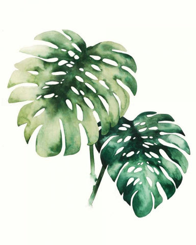 Tropical Plant II White Modern Wood Framed Art Print with Double Matting by Popp, Grace