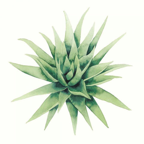 Tropical Plant III White Modern Wood Framed Art Print by Popp, Grace