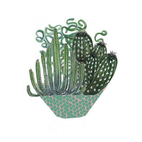 Cactus Arrangement II White Modern Wood Framed Art Print by Wang, Melissa