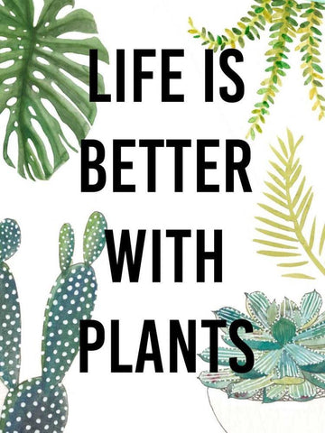 Plant Love III White Modern Wood Framed Art Print with Double Matting by Studio W