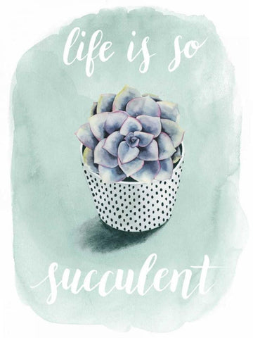 Life is Succulent I White Modern Wood Framed Art Print with Double Matting by Popp, Grace