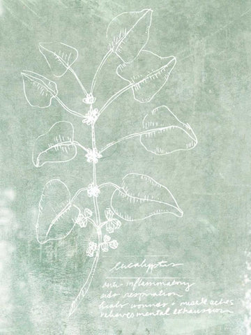 Essential Botanicals I White Modern Wood Framed Art Print with Double Matting by Fagalde, Jarman