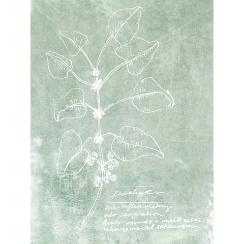 Essential Botanicals I White Modern Wood Framed Art Print by Fagalde, Jarman