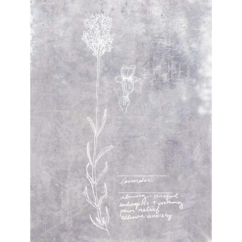 Essential Botanicals II Gold Ornate Wood Framed Art Print with Double Matting by Fagalde, Jarman