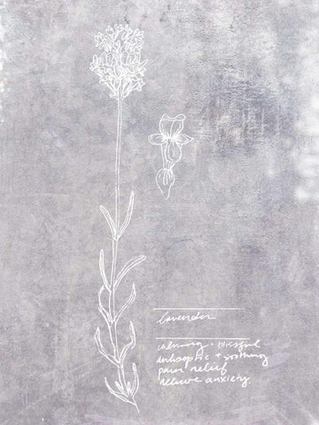 Essential Botanicals II White Modern Wood Framed Art Print with Double Matting by Fagalde, Jarman