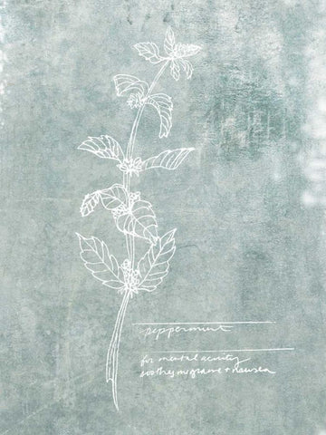 Essential Botanicals III White Modern Wood Framed Art Print with Double Matting by Fagalde, Jarman