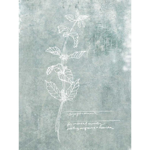 Essential Botanicals III Black Modern Wood Framed Art Print by Fagalde, Jarman