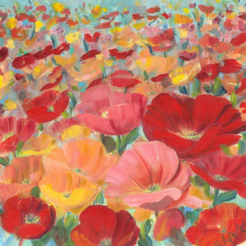 Wild Flower Field I Black Modern Wood Framed Art Print by Iafrate, Sandra