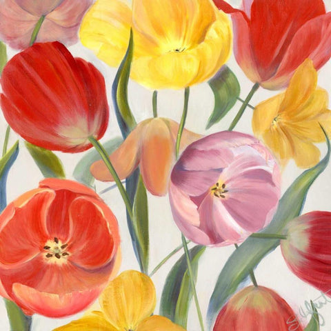 Sandys Spring Mix I Black Modern Wood Framed Art Print with Double Matting by Iafrate, Sandra