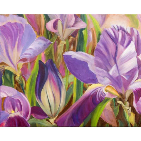 Iris Details I Black Modern Wood Framed Art Print with Double Matting by Iafrate, Sandra