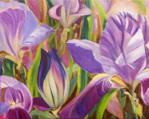 Iris Details I White Modern Wood Framed Art Print with Double Matting by Iafrate, Sandra