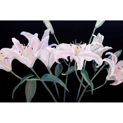 Dramatic Lilies White Modern Wood Framed Art Print by Iafrate, Sandra