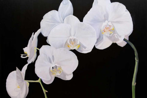 Dramatic Orchids I Black Ornate Wood Framed Art Print with Double Matting by Iafrate, Sandra