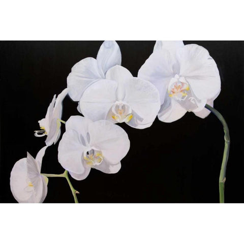 Dramatic Orchids I Gold Ornate Wood Framed Art Print with Double Matting by Iafrate, Sandra