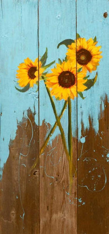 Sunflowers on Wood I Black Ornate Wood Framed Art Print with Double Matting by Iafrate, Sandra