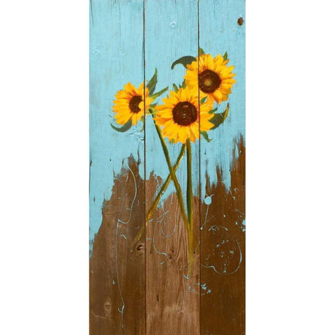 Sunflowers on Wood I Black Modern Wood Framed Art Print by Iafrate, Sandra