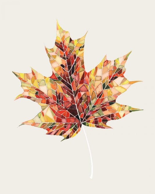 Image Only