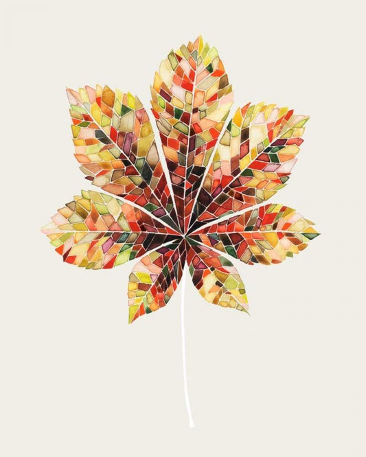 Image Only