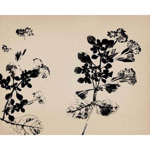 Beauty of a Friend I Black Modern Wood Framed Art Print with Double Matting by Jorgensen, Jennifer