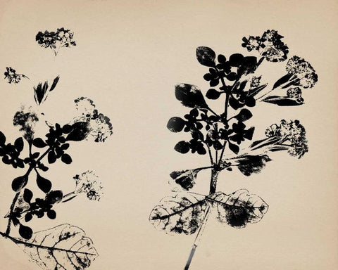 Beauty of a Friend I Black Ornate Wood Framed Art Print with Double Matting by Jorgensen, Jennifer