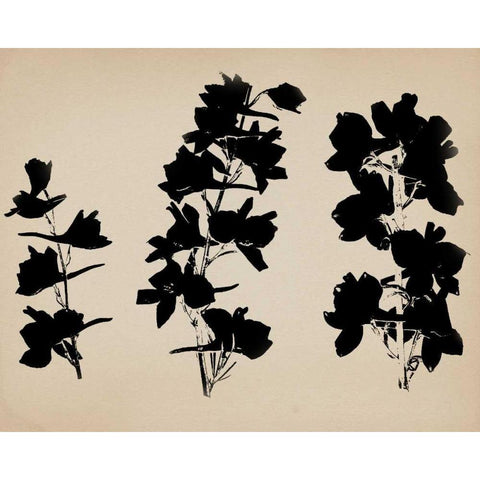 Beauty of a Friend II Black Modern Wood Framed Art Print with Double Matting by Jorgensen, Jennifer