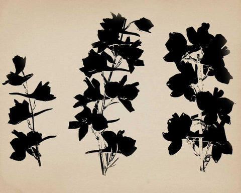 Beauty of a Friend II Black Ornate Wood Framed Art Print with Double Matting by Jorgensen, Jennifer