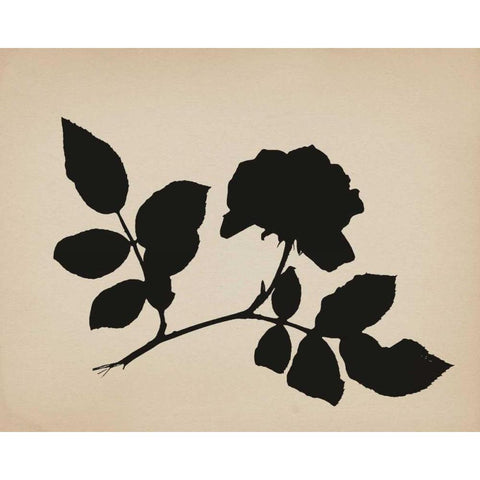 Beauty of a Friend III Black Modern Wood Framed Art Print by Jorgensen, Jennifer